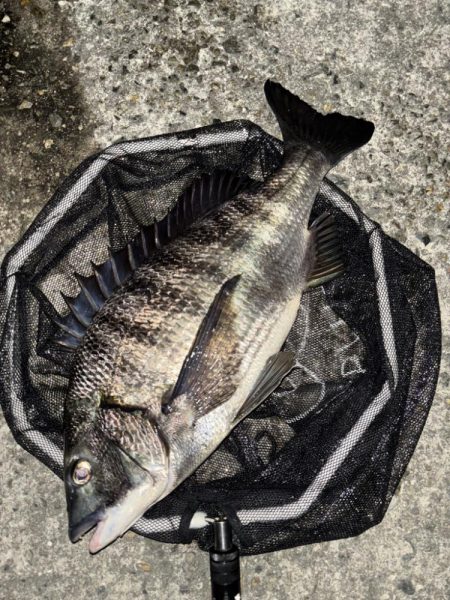 ヘチってきました