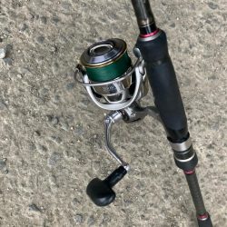 朝マズメのカマス釣りで20匹GET