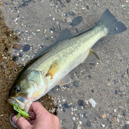 リアクションで一本🔥