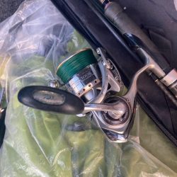 朝マズメのカマス釣りで15匹GET