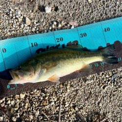 台風なみの爆風にて💨