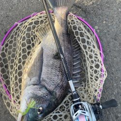 夕まずめチニング！