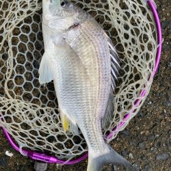 極寒チニング！