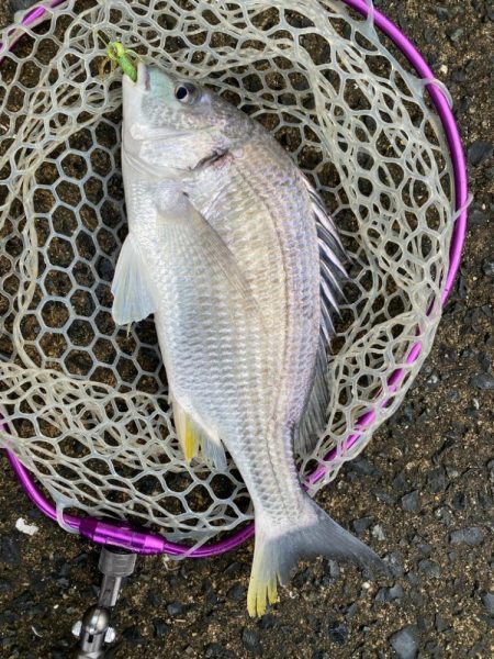 極寒チニング！