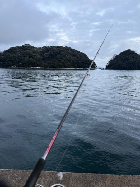 タマズメ、短時間釣行