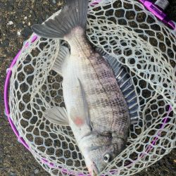 2週連続のつ抜け！