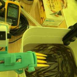 サクラマス釣行前のワカサギ 腕試し