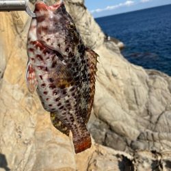 那智勝浦沖磯フカセ