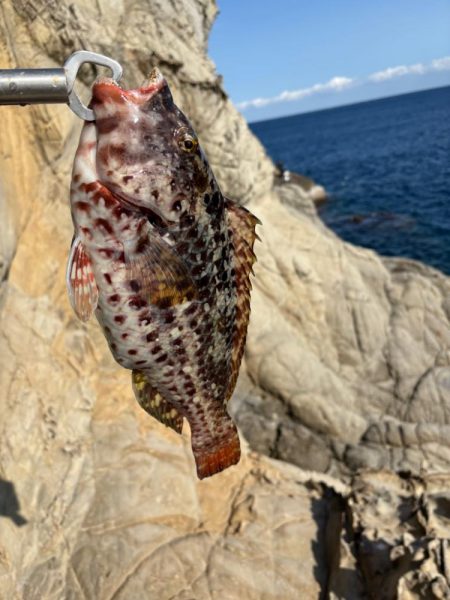 那智勝浦沖磯フカセ