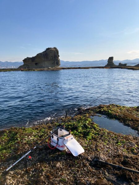 磯でチヌ釣