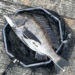 ヘチってきました