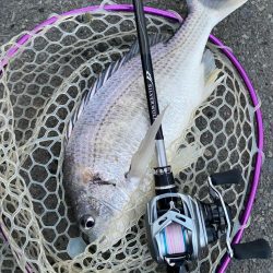 爆風チニングチャレンジ！