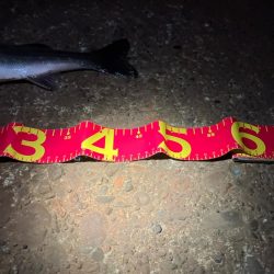 3投目で見事ヒット❗️しかしその後アタリ無し