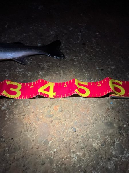 3投目で見事ヒット❗️しかしその後アタリ無し