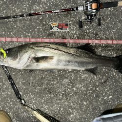 もう再販して欲しい!上州屋浦安店さんお願い!