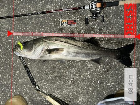 もう再販して欲しい!上州屋浦安店さんお願い!