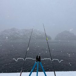 定置エギ漁、、?