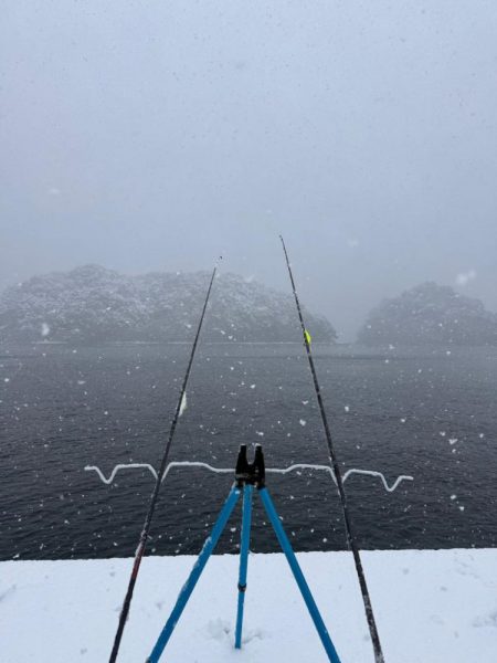 定置エギ漁、、?