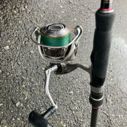 朝マズメのカマス釣りで19匹GET