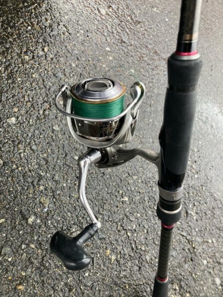 朝マズメのカマス釣りで19匹GET