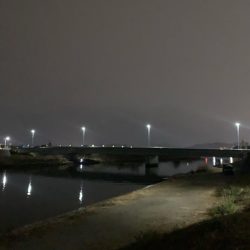 ファーストフィッシュ