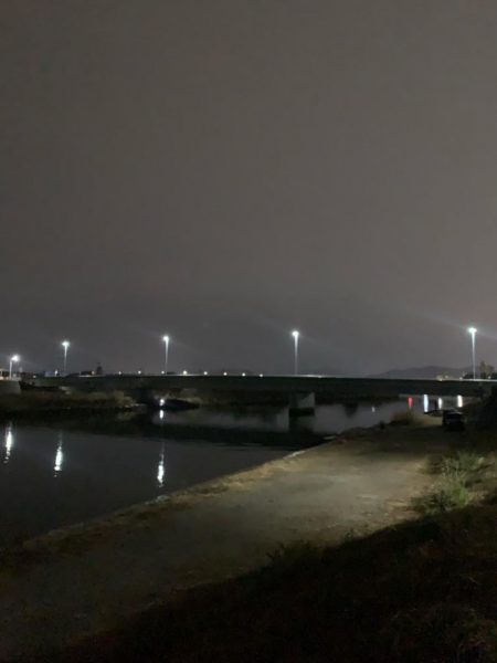 ファーストフィッシュ