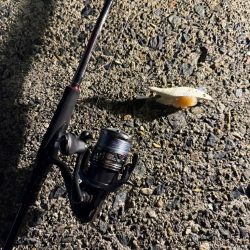 なかなか渋い1日