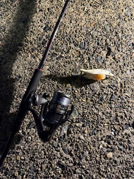 なかなか渋い1日