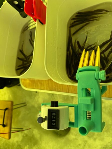 ワカサギ の聖地へ出陣！