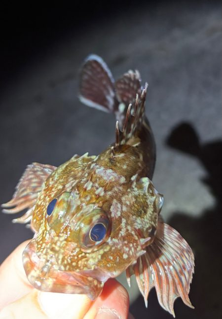 極寒のなかガシリング