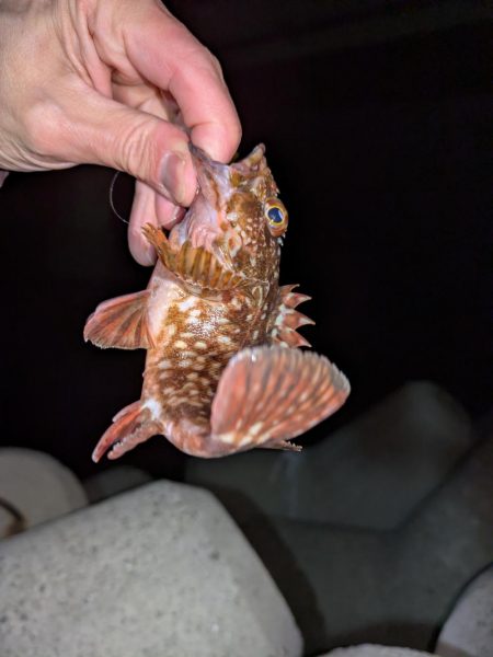 雨天ライトゲーム