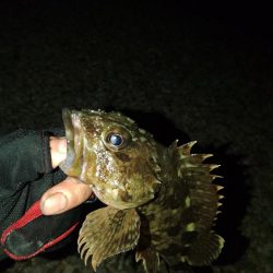 フロートゲーム～