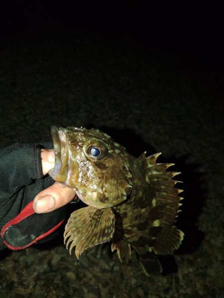 フロートゲーム～