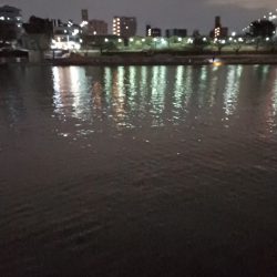 ようやく今年の初フィッシュ