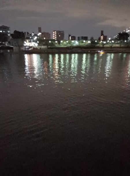 ようやく今年の初フィッシュ