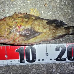 デカガシラ＆今シーズンもありがとタチウオ