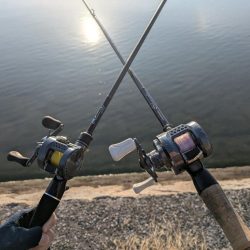 広島敷石ネチネチニング