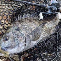 広島敷石ネチネチニング