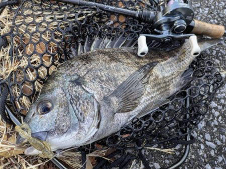 広島敷石ネチネチニング