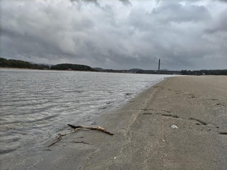 キビレが釣れました!