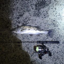 極寒フィッシングあれこれ。