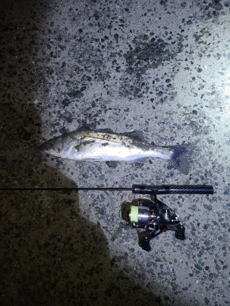 極寒フィッシングあれこれ。