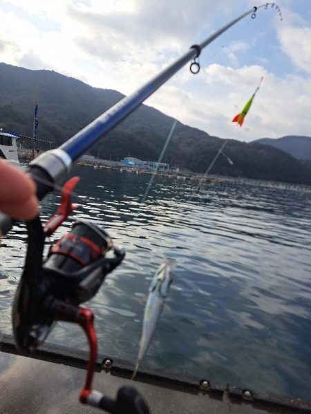 久しぶりの入れ食い