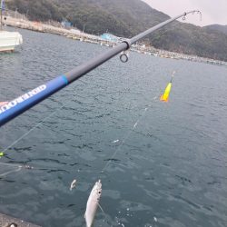 吹雪でも釣れる