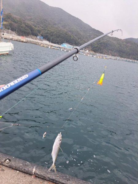 吹雪でも釣れる