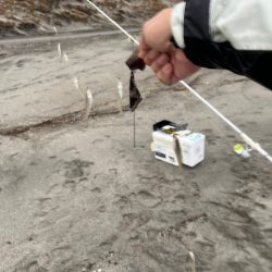 真冬のサーフでキス釣りしてきました