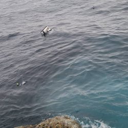 和歌山市江（吉丸渡船）でグレ釣り