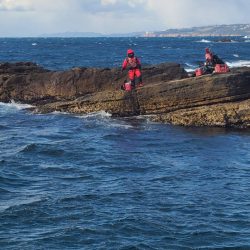 和歌山市江（吉丸渡船）でグレ釣り