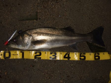 1バイトが貴重な厳寒期