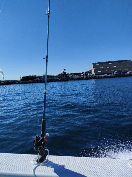 カットウフグ☆えさ政より